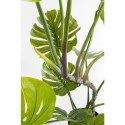 KARE roślina dekoracyjna MONSTERA 110 cm