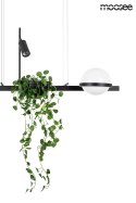 MOOSEE lampa wisząca PLANT czarna